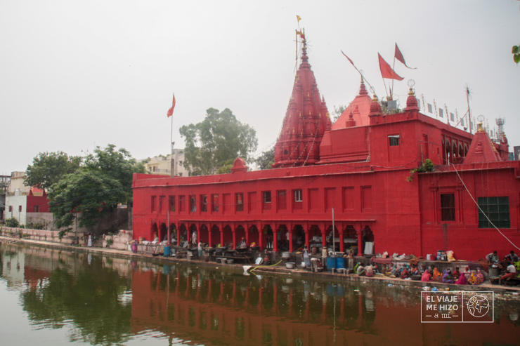 qué ver en Varanasi: Templo del Mono