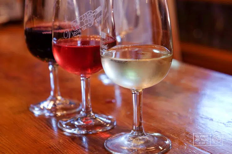 Qué hacer en Tenerife: cata en Bodegas Monje