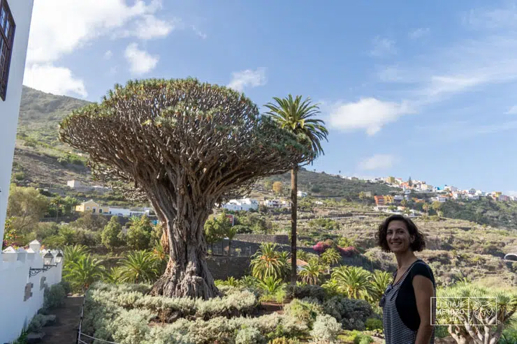 Parque del Drago en Tenerife