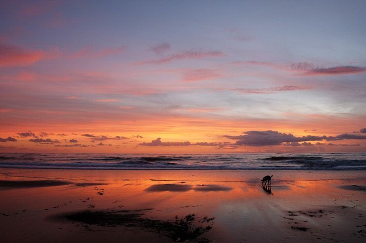 atardeceres de andalucia