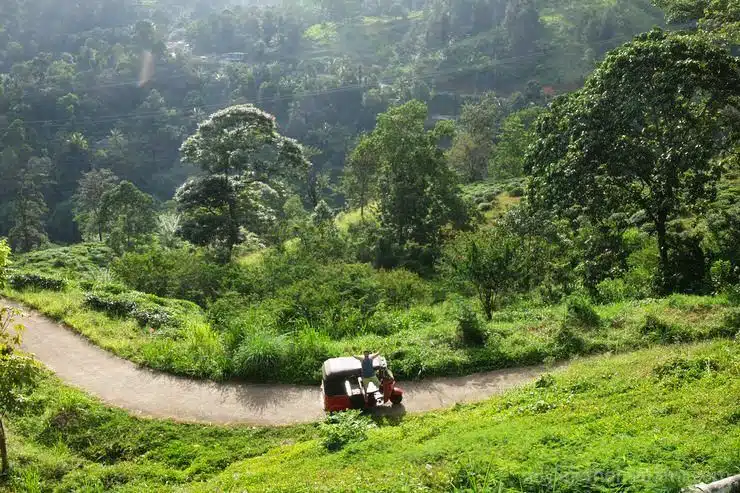 Recorrer Sri Lanka en tukk tuk