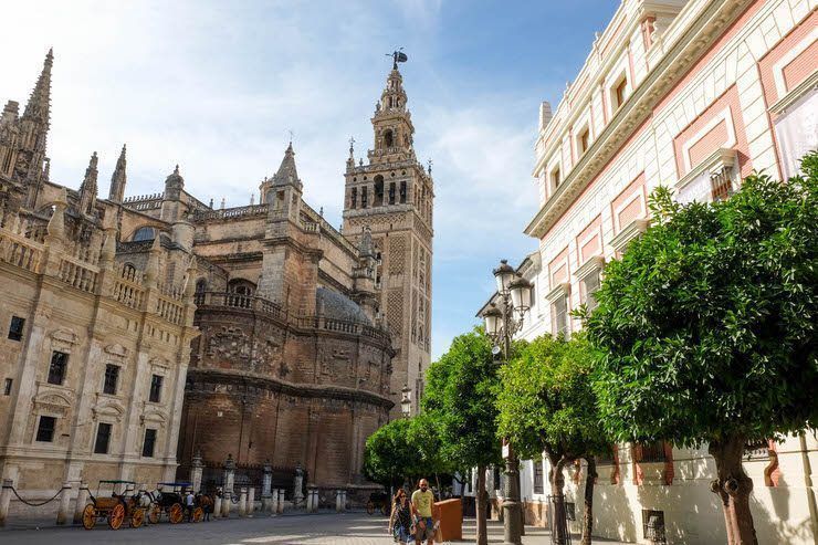 palmeras en Sevilla