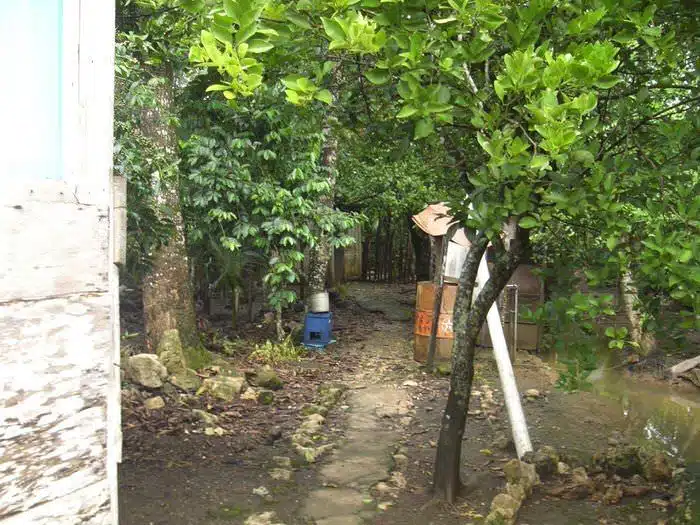 Frontera Corozal