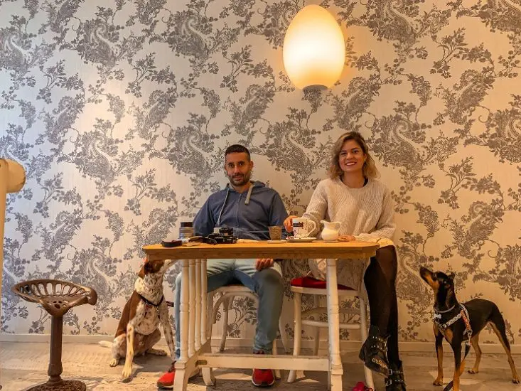 cafetería perruna en Gijón: Aliter Dulcía