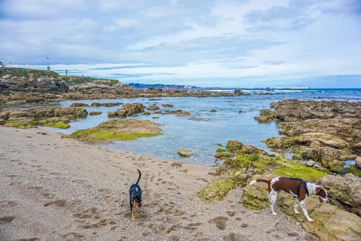 La playa perruna: el Rinconín