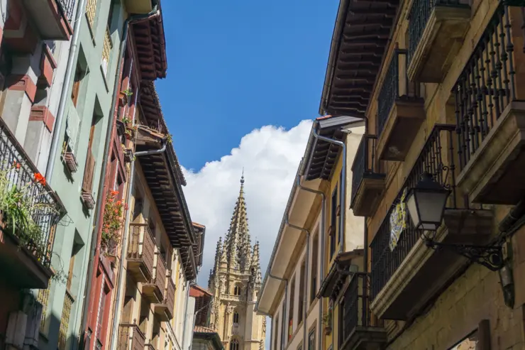 calle Mon
