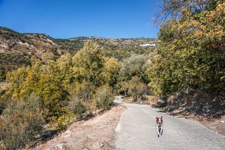 rutas de senderismo por la Alpujarra