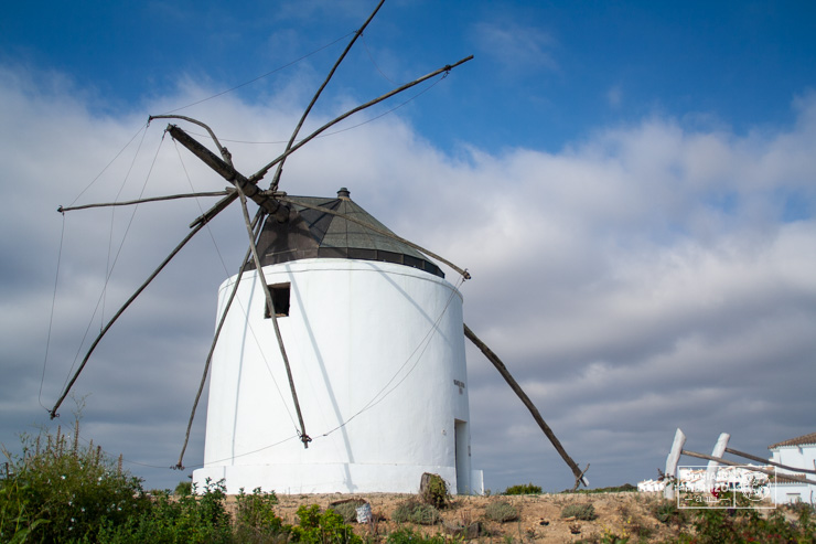 Visitar el molino, de lo mejor qué hacer en Vejer