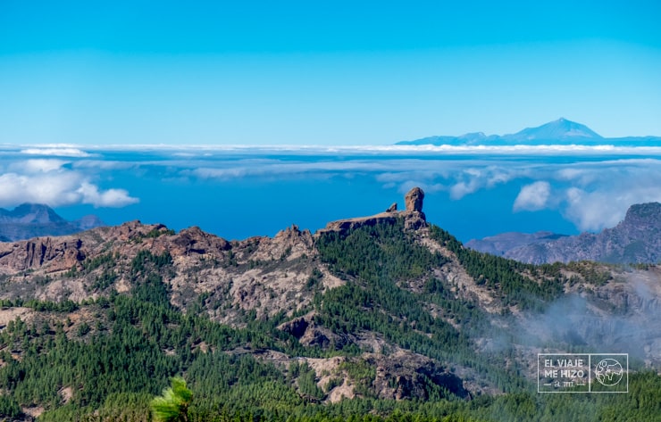 vistas desde el Pico de las Nieves
