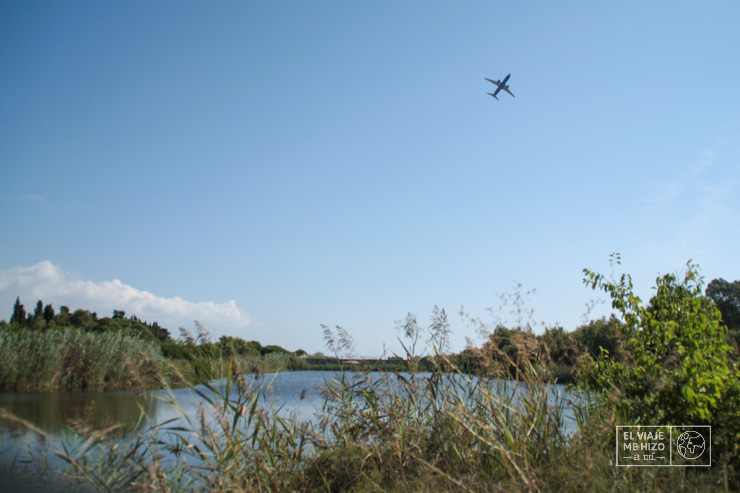 avión por el Delta del Prat cerca de Barcelona