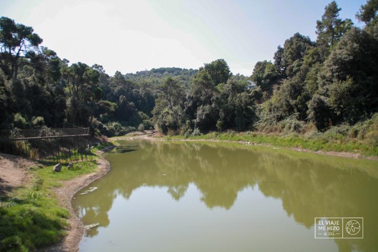 Parques cerca de Barcelona: Pantano Vallvidriera