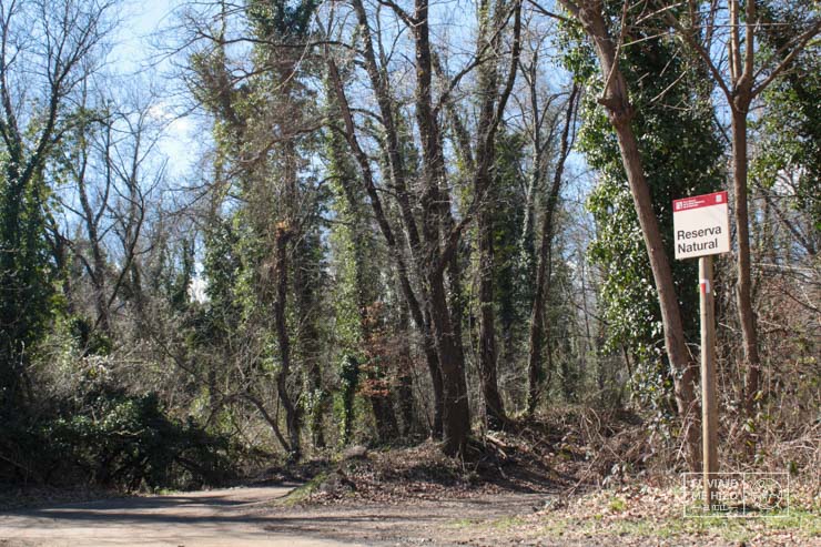 Parque Natural del Montseny