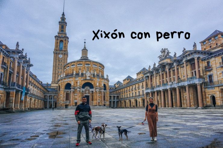 Xixón con perro