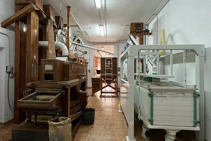 Panadería Rincón del Segura