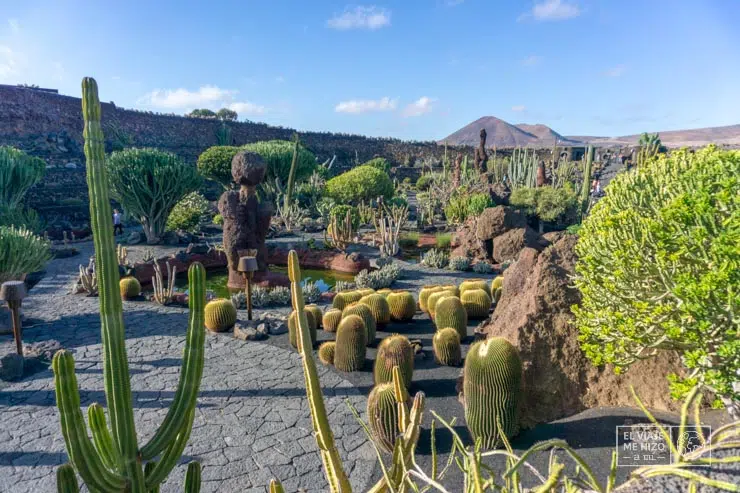 Jardín de Cactus de Lanzarote