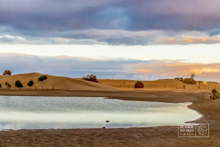 charca de Maspalomas