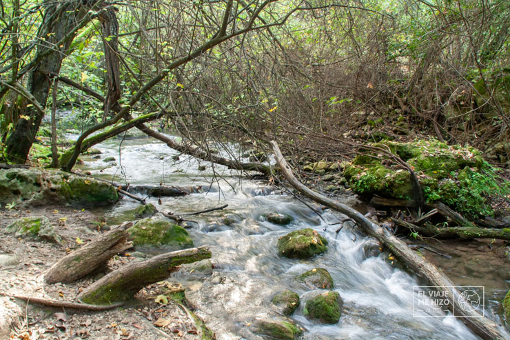 El río Majaceite a mitad de la ruta entre El Bosque y Benamahoma