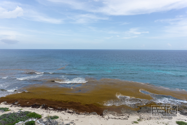playa Tortuga en Cozumel