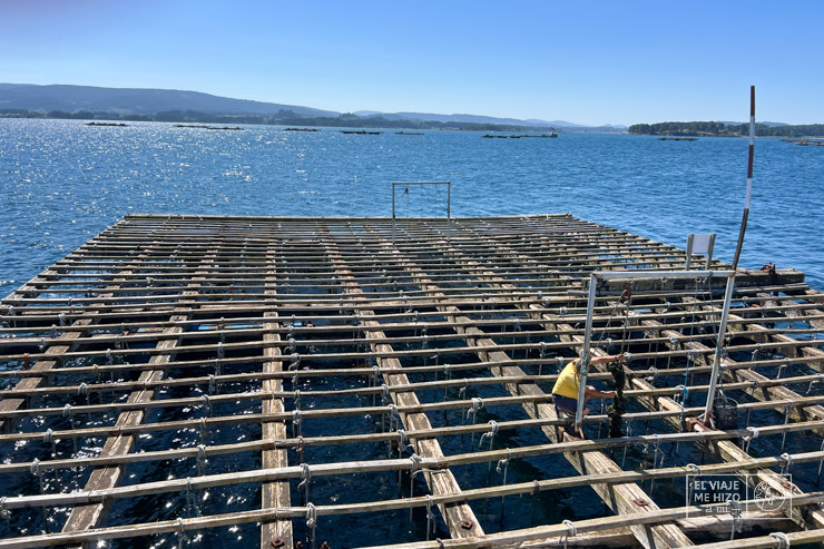 Batea en la Ría de Arousa