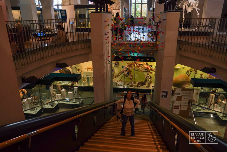 Museo de Historia Natural