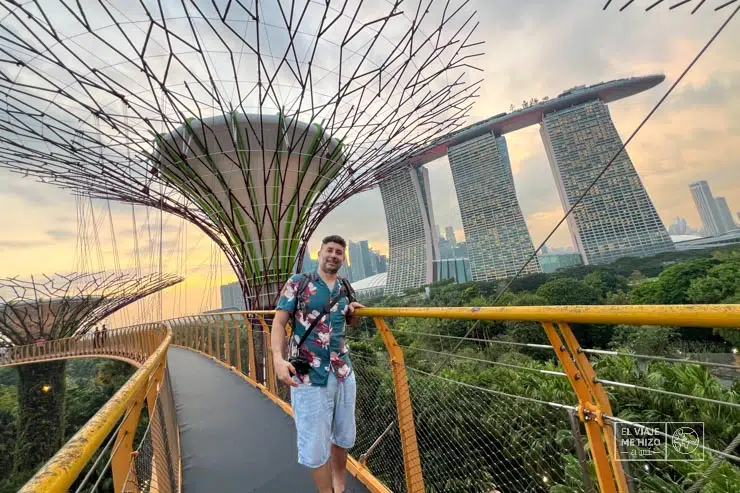 Gardens by the Bay en Singapur