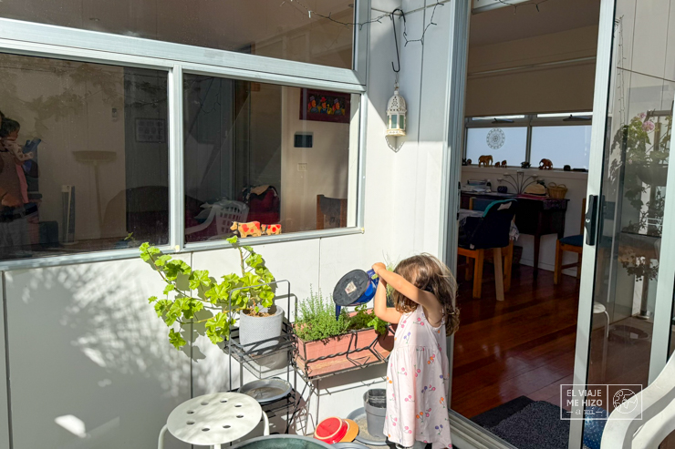 Cuidar plantas intercambio HomeExchange