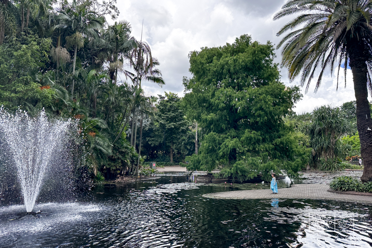 Jardín Botánico de Brisbane