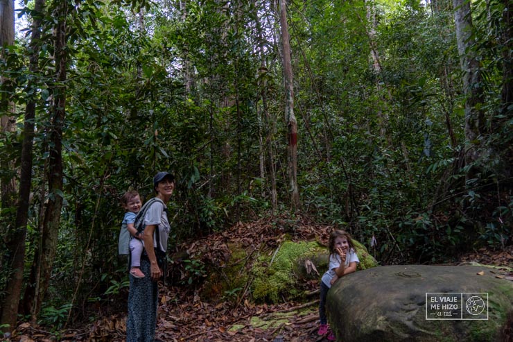 caminando por la selva en Bako