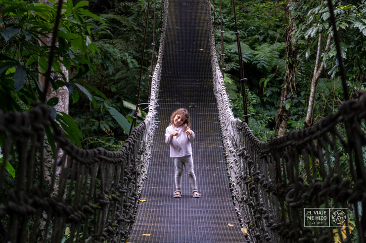 puente del Teddu Coffee
