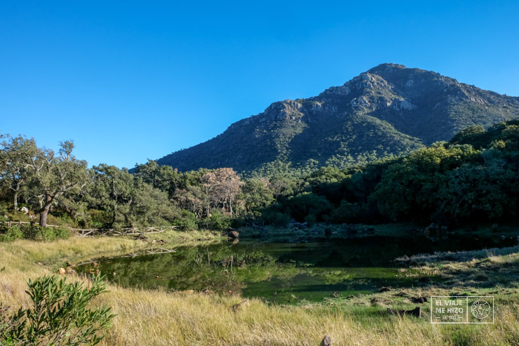 Laguna del Picacho