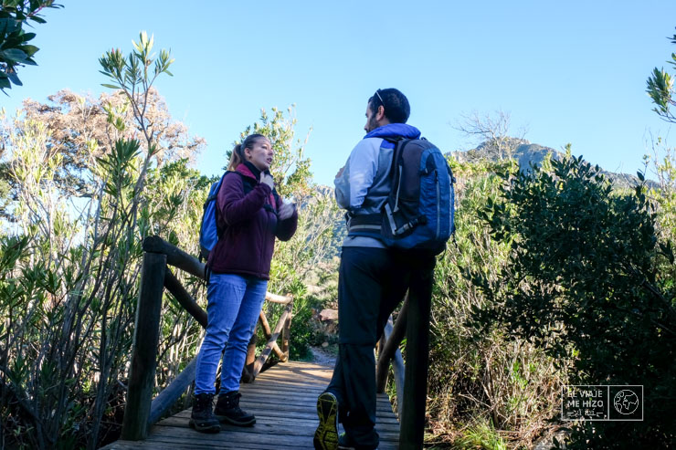 Ruta de la subida al Picacho