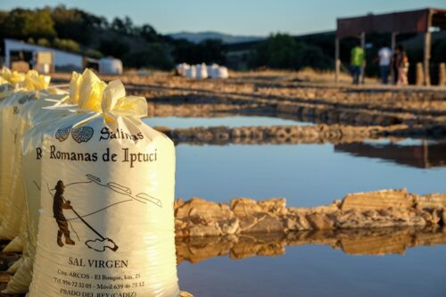 Visitar las Salinas Romanas de Iptuci