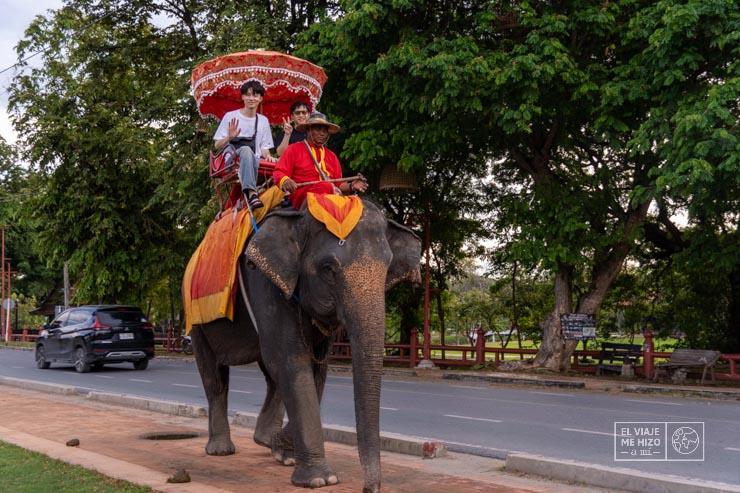 Elefantes explotados en los Templos de Ayutthaya