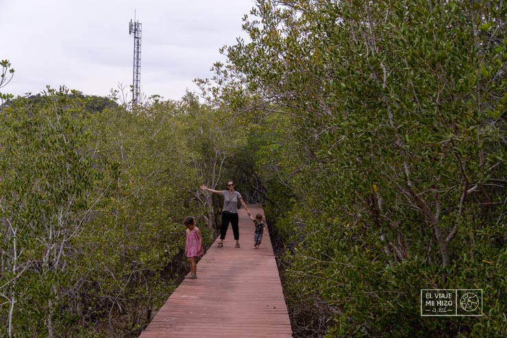 El manglar del Parque Nacional de Khao Sam Roi Yot