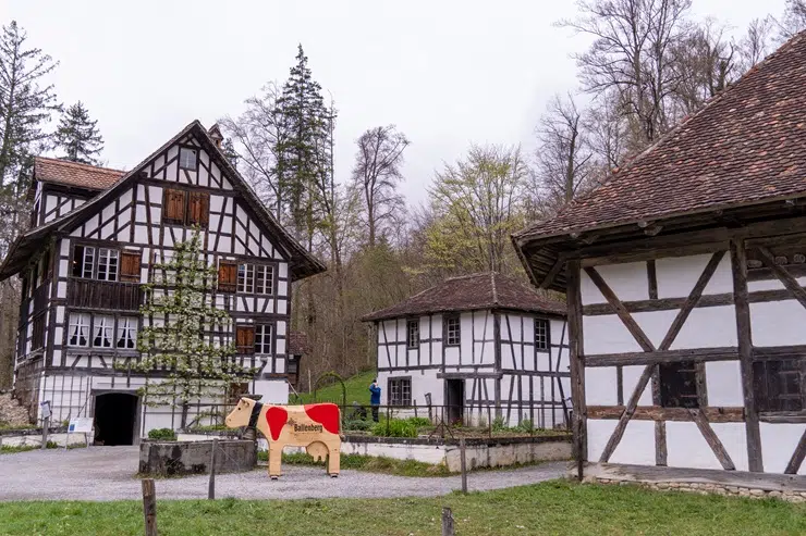 Consejos para visitar el Museo Ballenberg